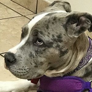 Meet your Posher, Wanda